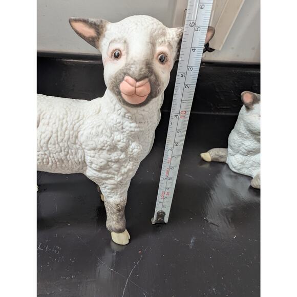 Kazmar Lambs Ram and Ewe set official certificate - Picture 2 of 10